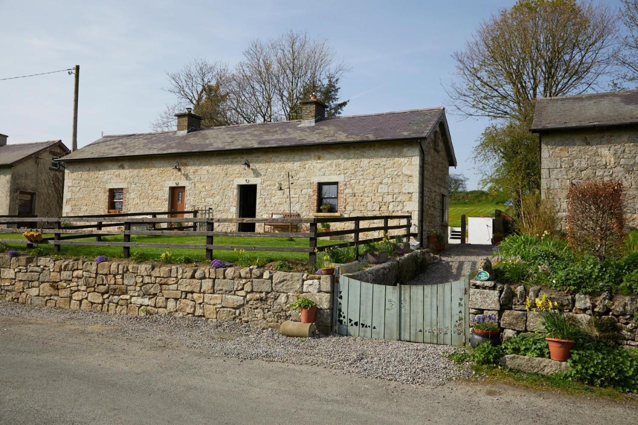 Kilquiggan Cottages Coolkenno Exterior photo